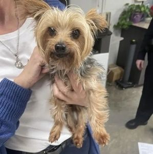 Meet your Posher, Carol